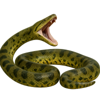 anaconda PNG