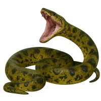anaconda PNG attack