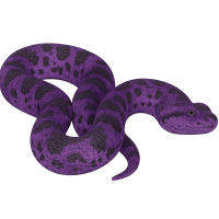 anaconda PNG