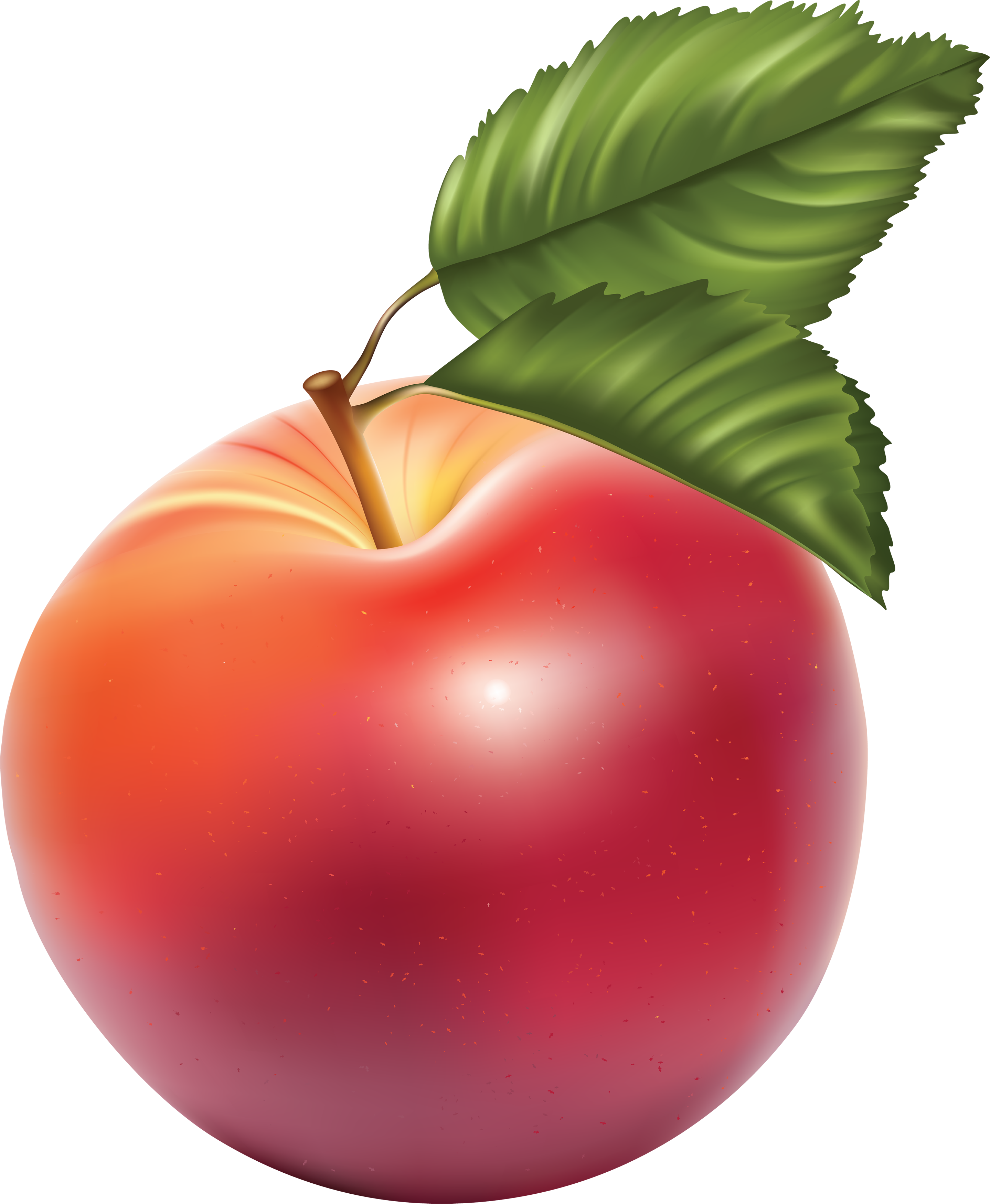 red apple rendered image PNG