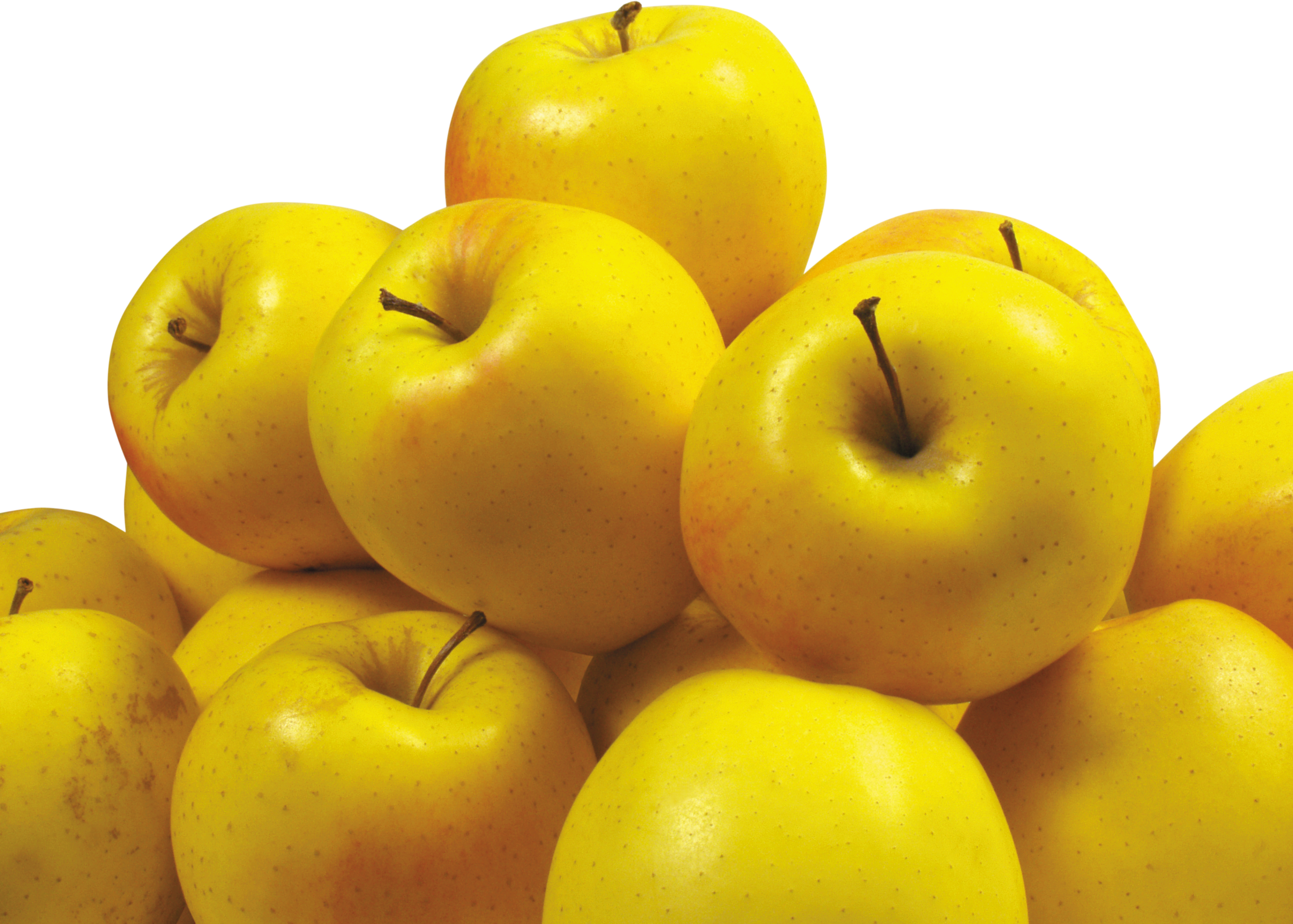 Many yellow apples PNG