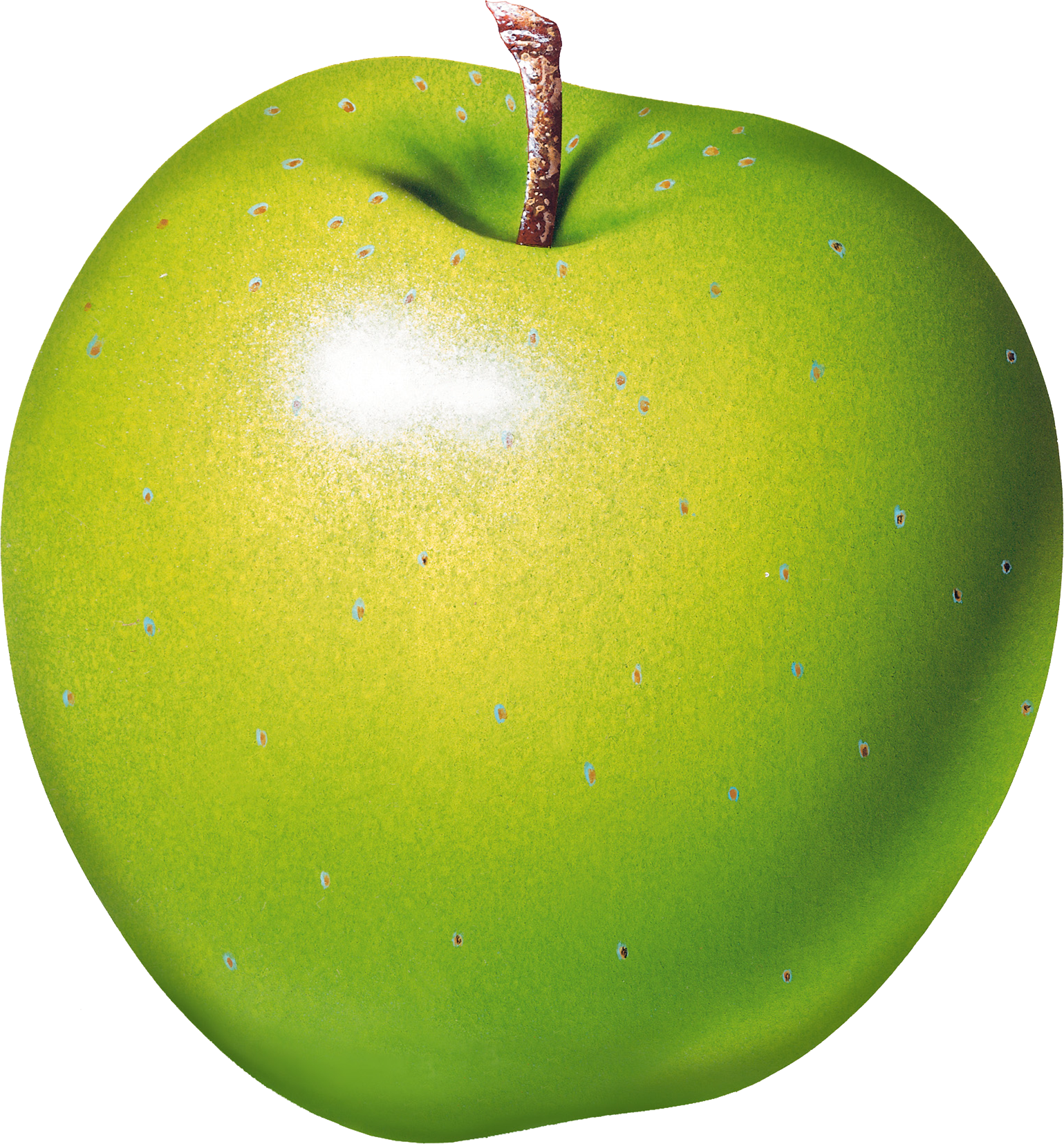 Green apple transparent  PNG