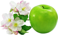 apple with flowers PNG