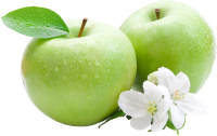two apples PNG