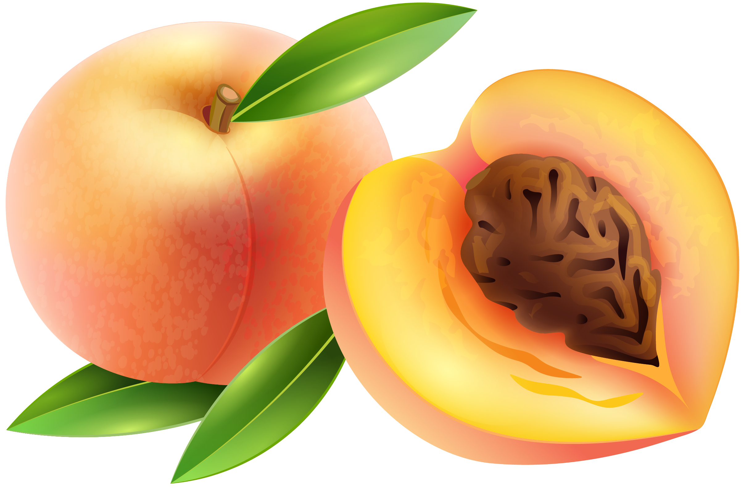 Sliced apricot PNG