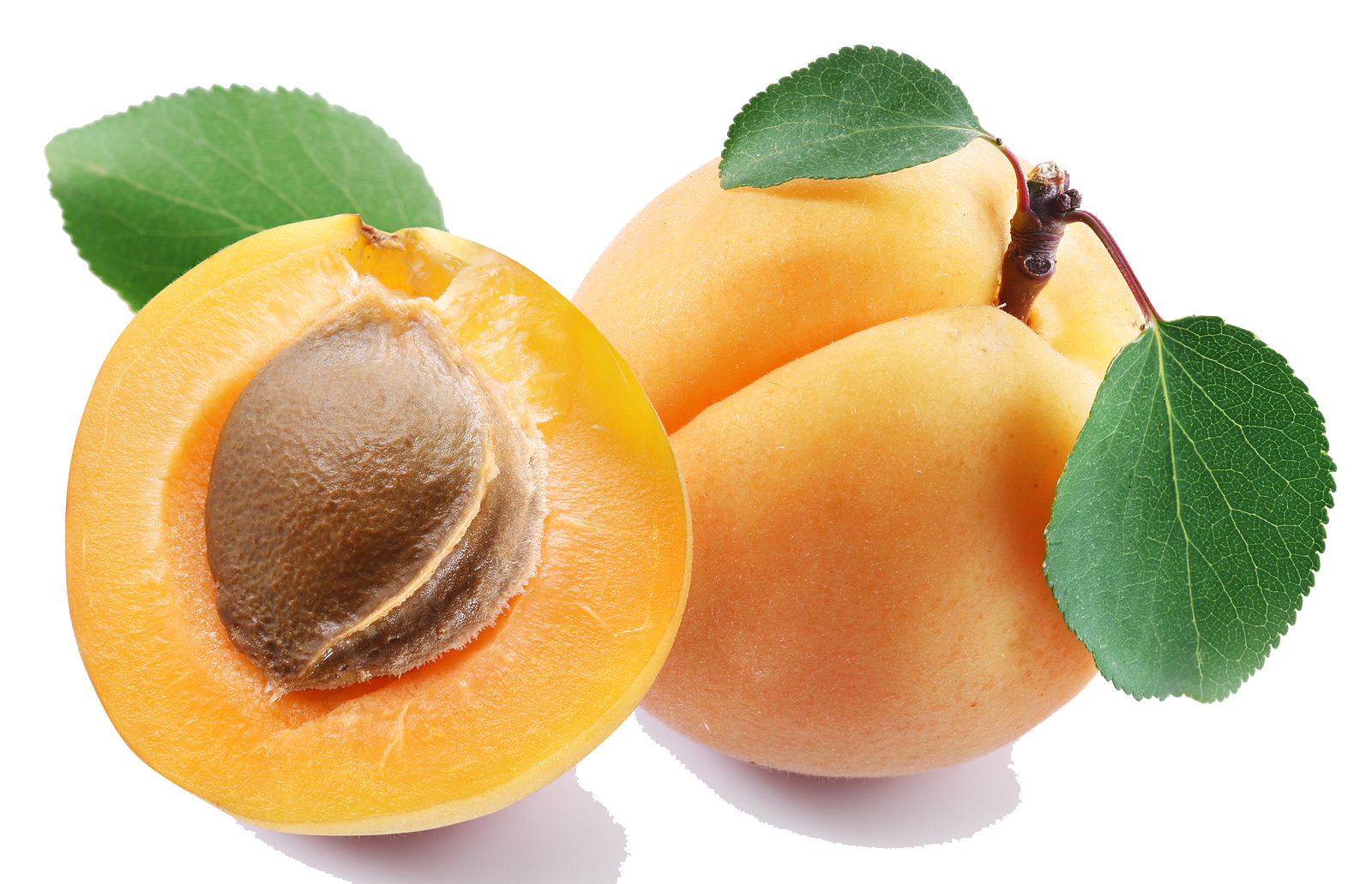Apricots PNG