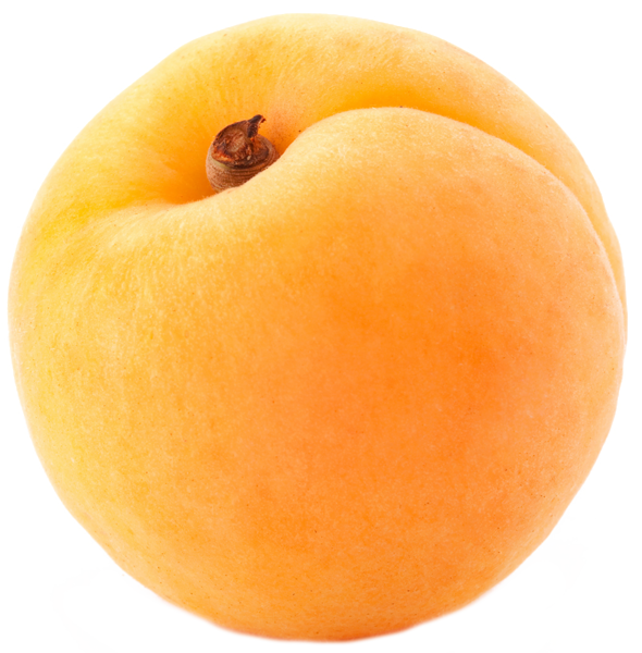 big yellow apricot PNG image
