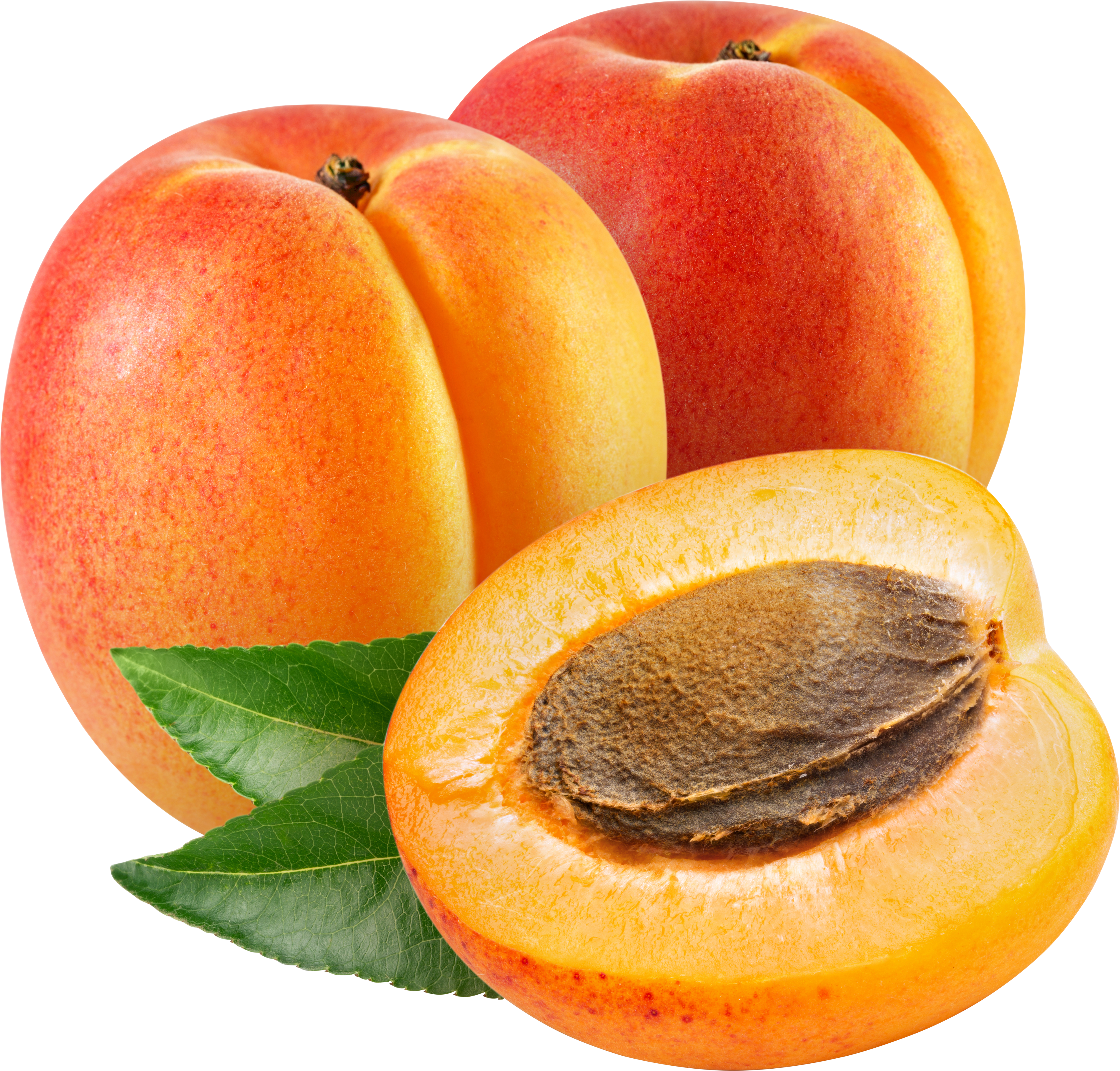 Apricots picture PNG
