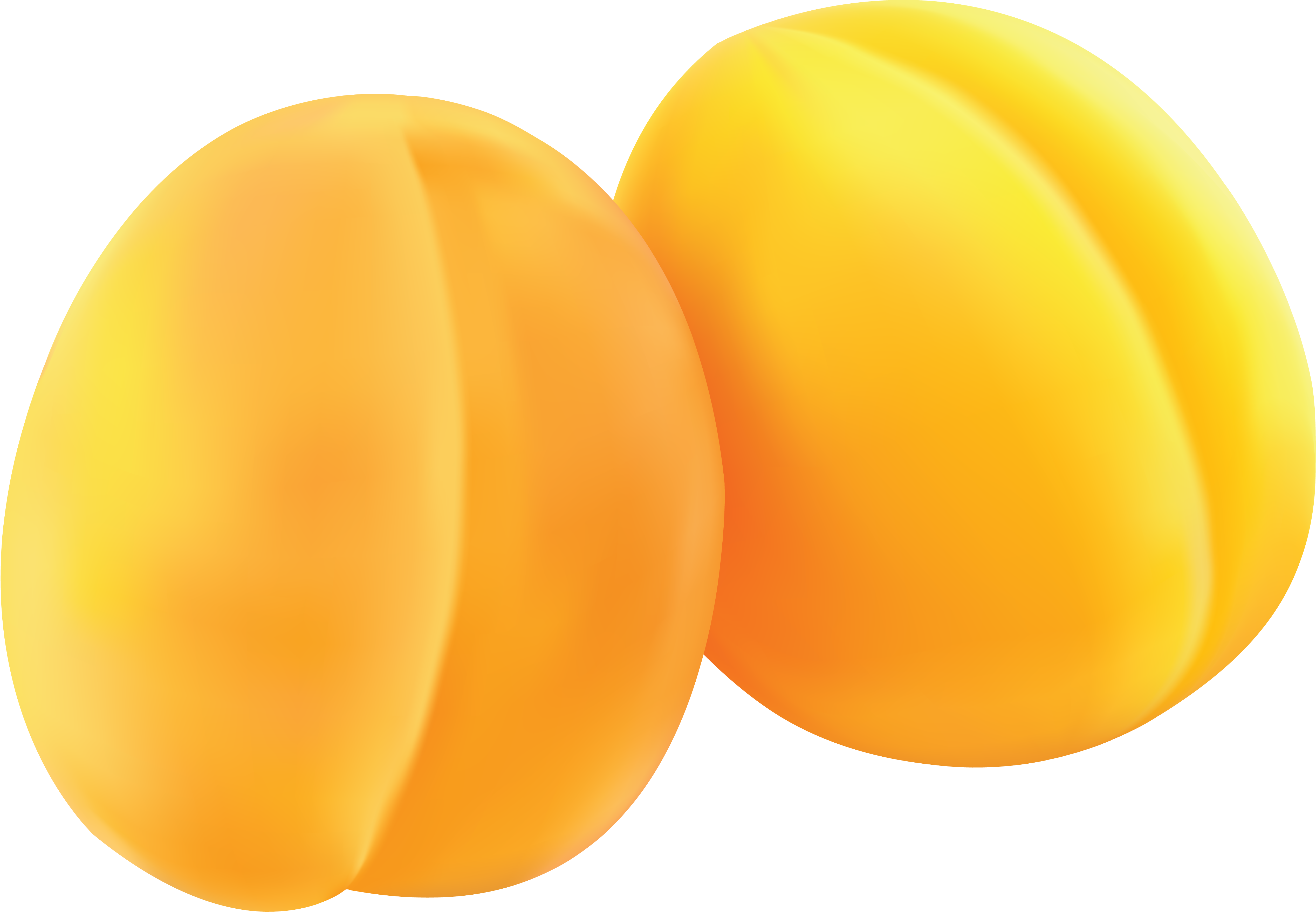 two yellow apricots PNG