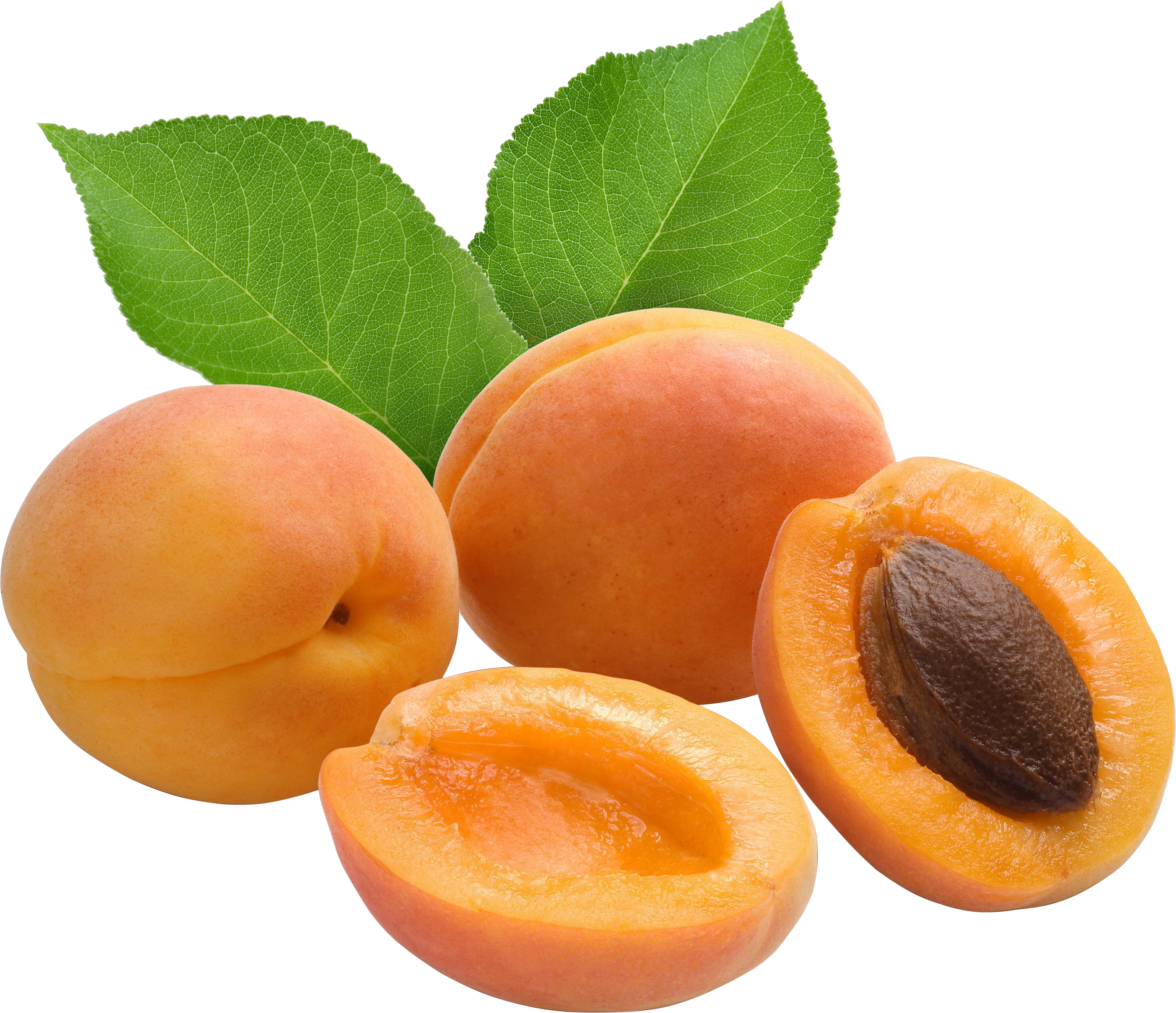Sliced Apricots transparent image PNG