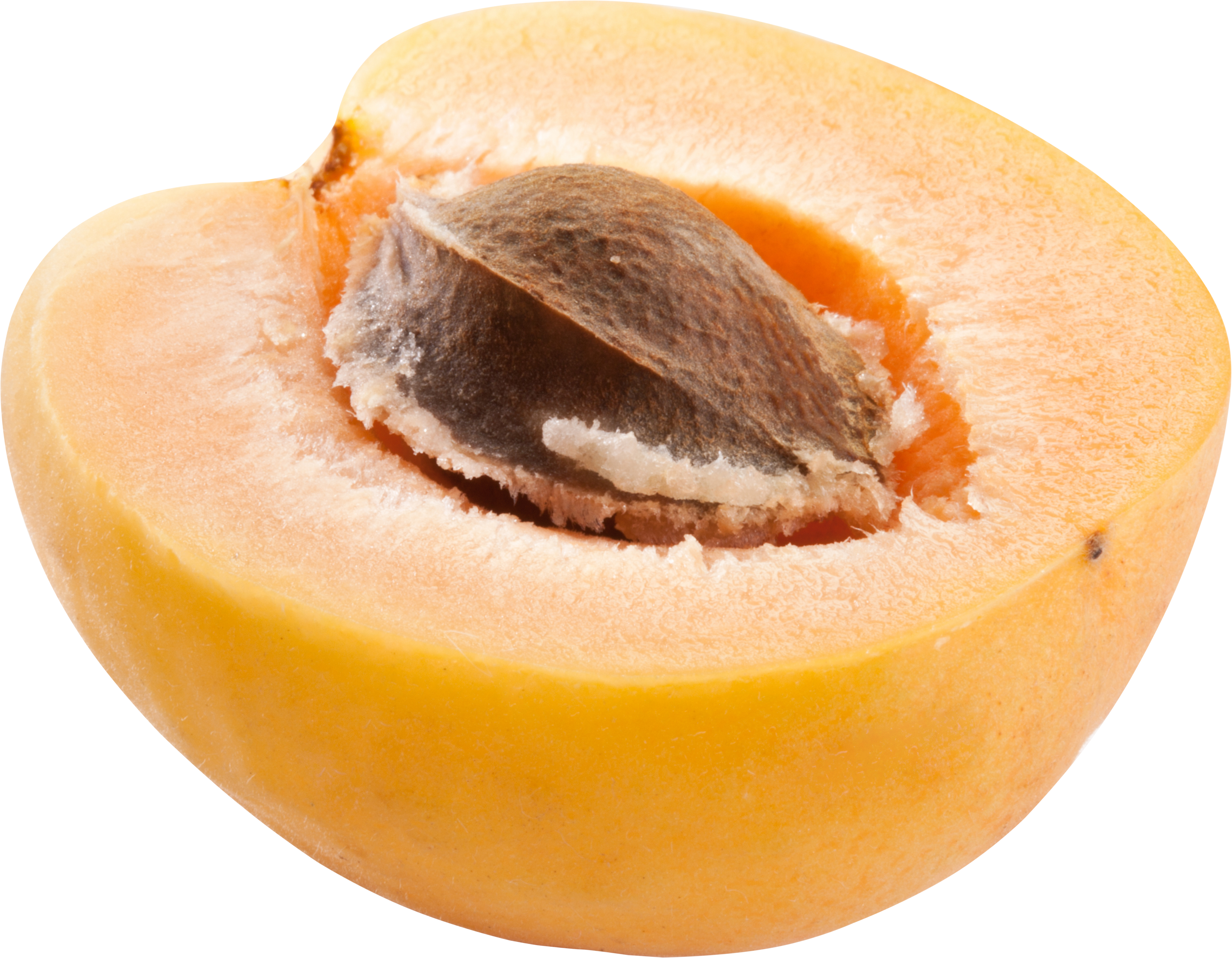 half apricot PNG
