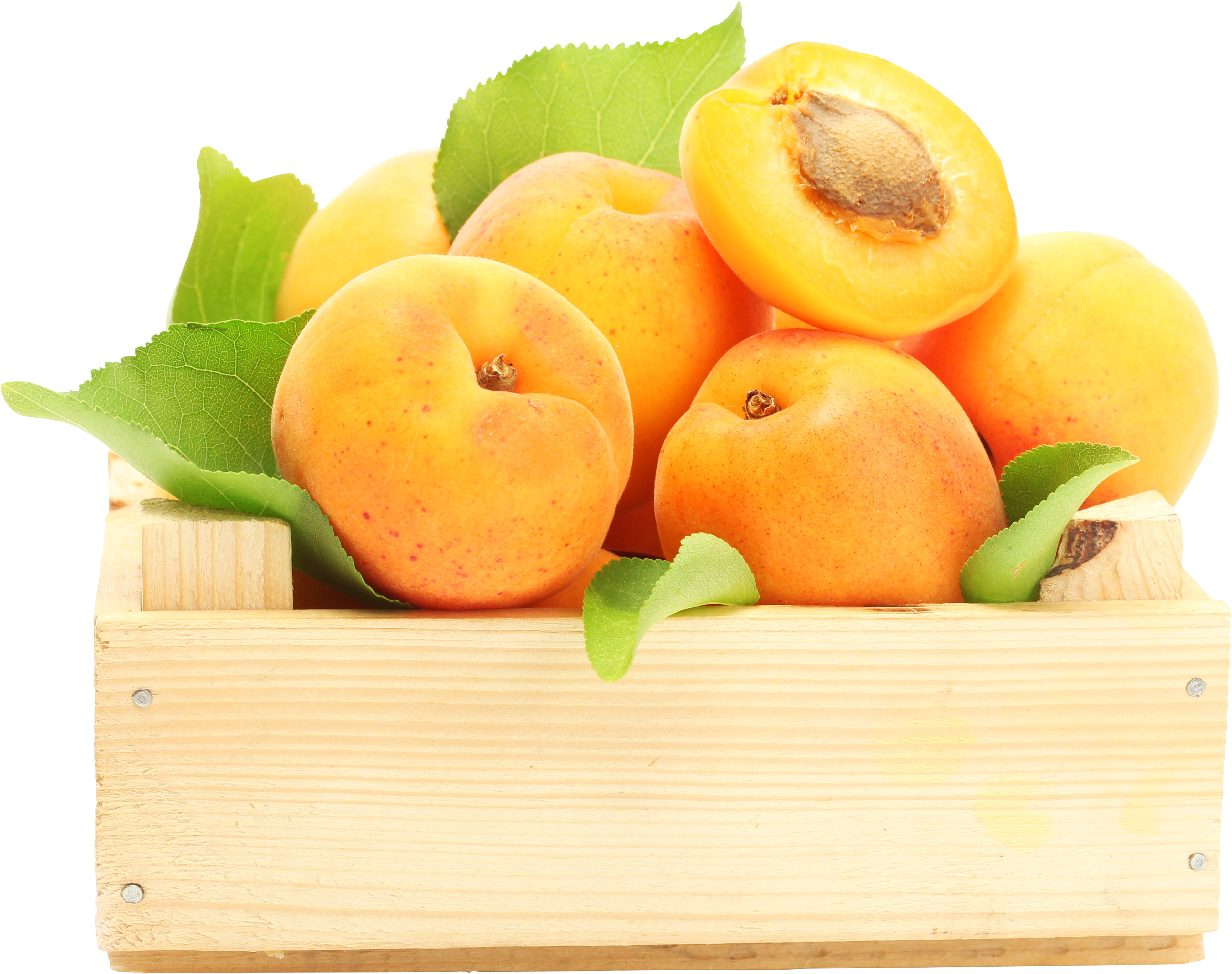 Apricots in box PNG