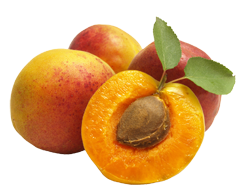 Apricots PNG transparent image, apricot PNG