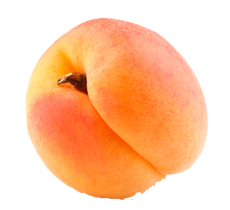 Big apricot PNG