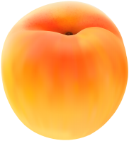Big apricot PNG image
