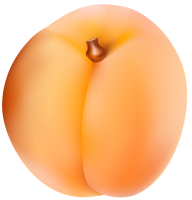 Large image apricot PNG