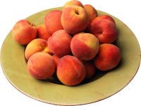 Apricots in plate PNG image with transparent background