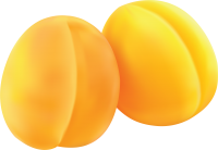 two yellow apricots PNG
