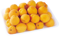 Many yellow Apricots PNG