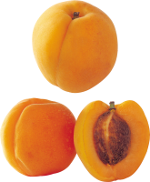 Apricot PNG