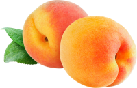 two Apricots PNG