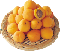 Many Apricots in plate PNG