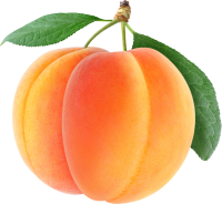 big apricots PNG