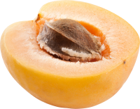 half apricot PNG