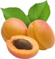 Apricots transparent PNG