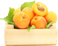 Apricots in box PNG
