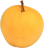 Large apricot PNG