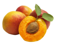 Apricots PNG transparent image, apricot PNG