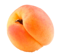 Big apricot PNG