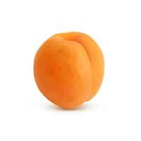 Apricot PNG image