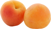 two apricots PNG