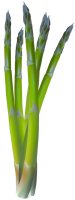 Asparagus PNG