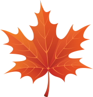 maple PNG leaf