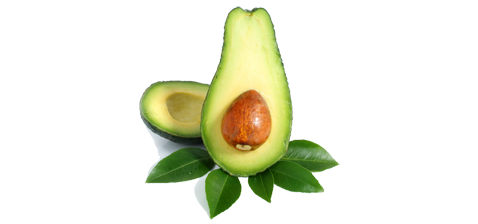 Avocado PNG images Download