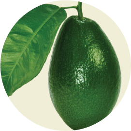 Avocado with leaf PNG