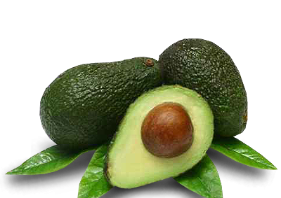 three avocados PNG