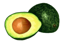 round cutted avocado PNG