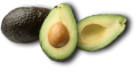 Avocado picture PNG