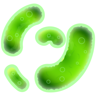 Bacteria PNG