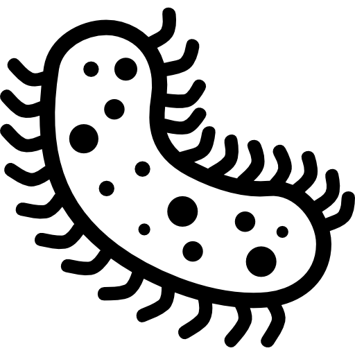 Bacteria PNG