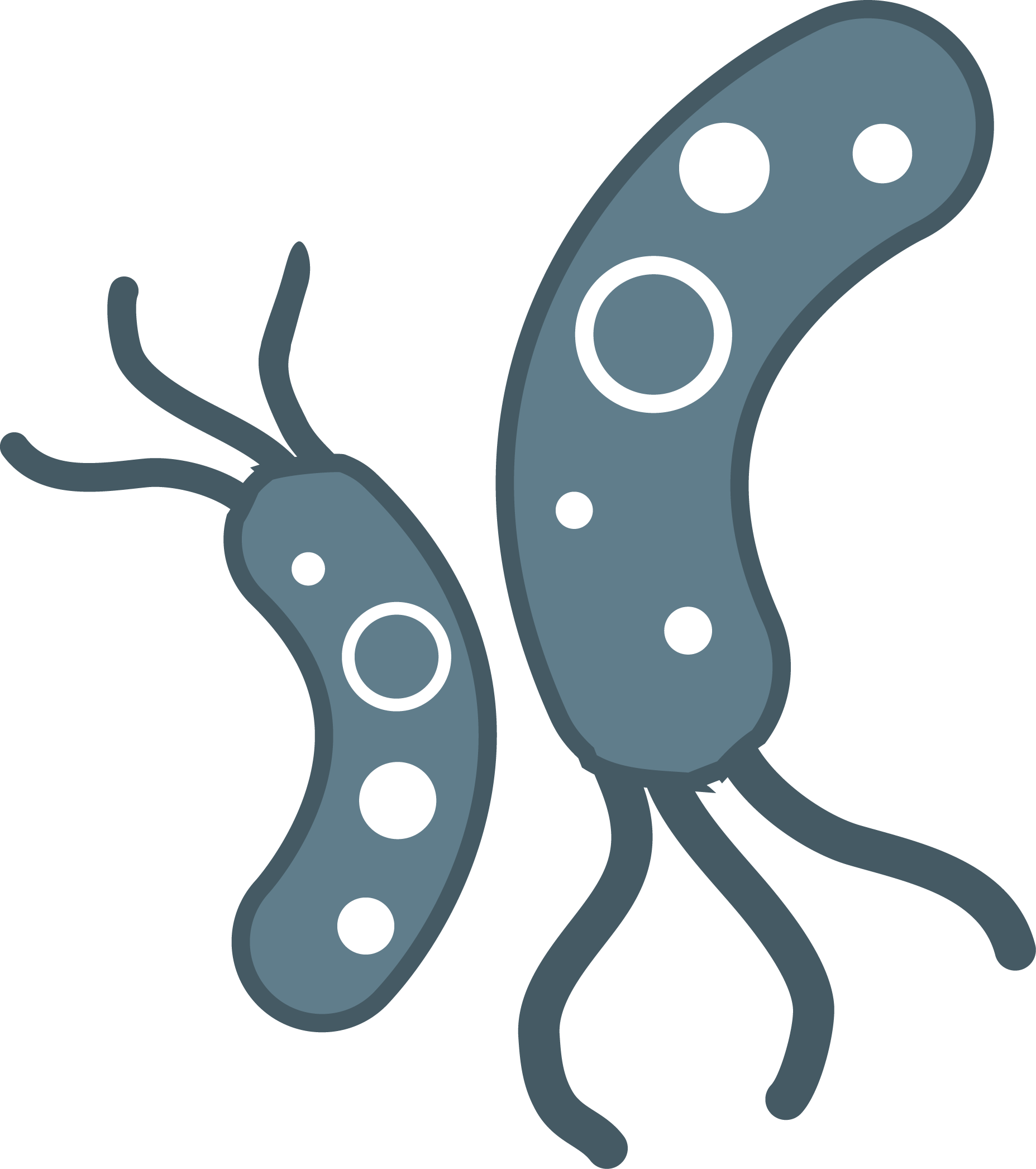 Bacteria PNG