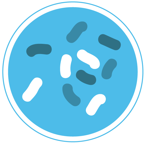 Bacteria PNG