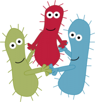 Бактерия PNG