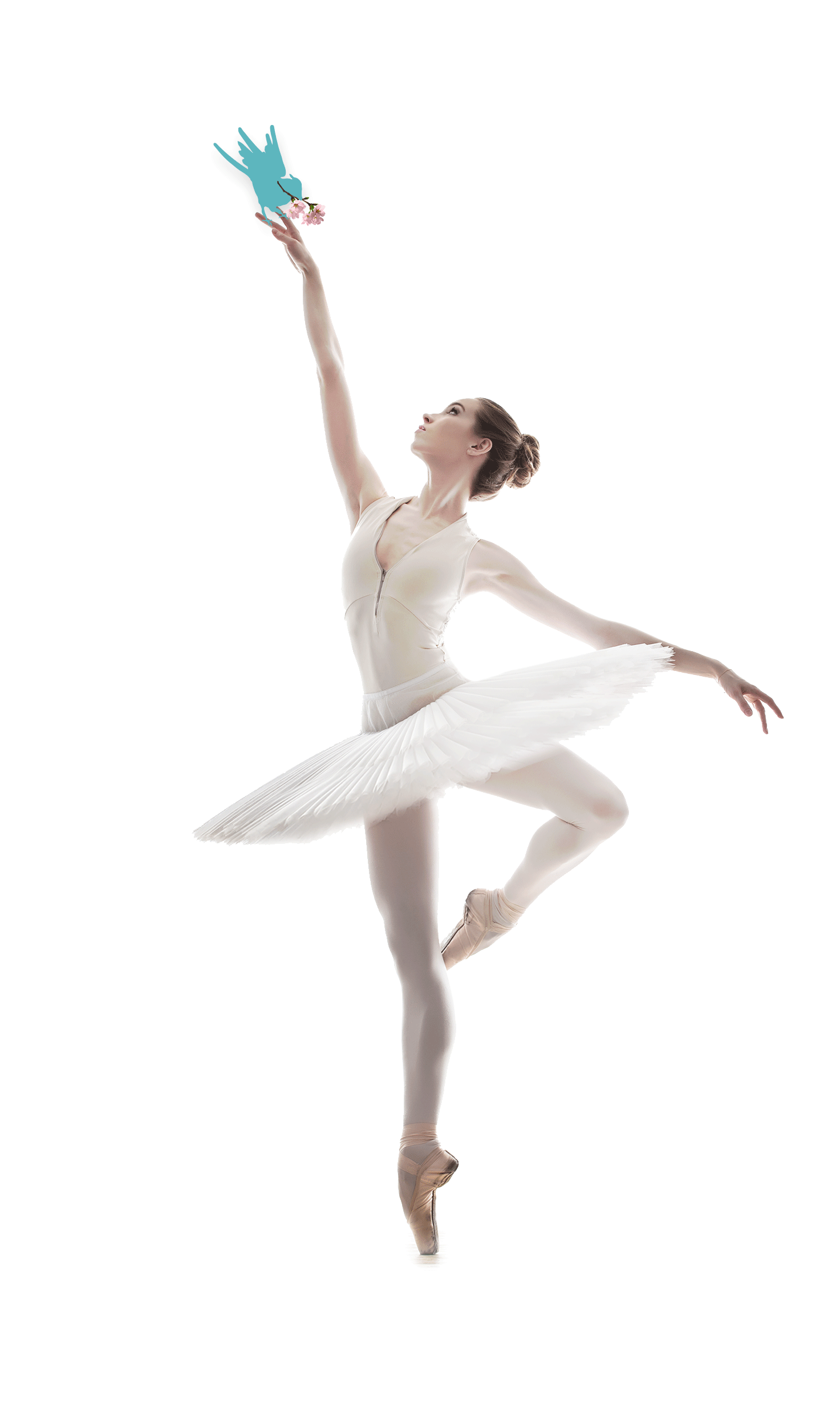 Ballet dancer PNG