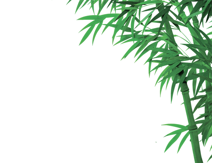 Bamboo PNG images Download