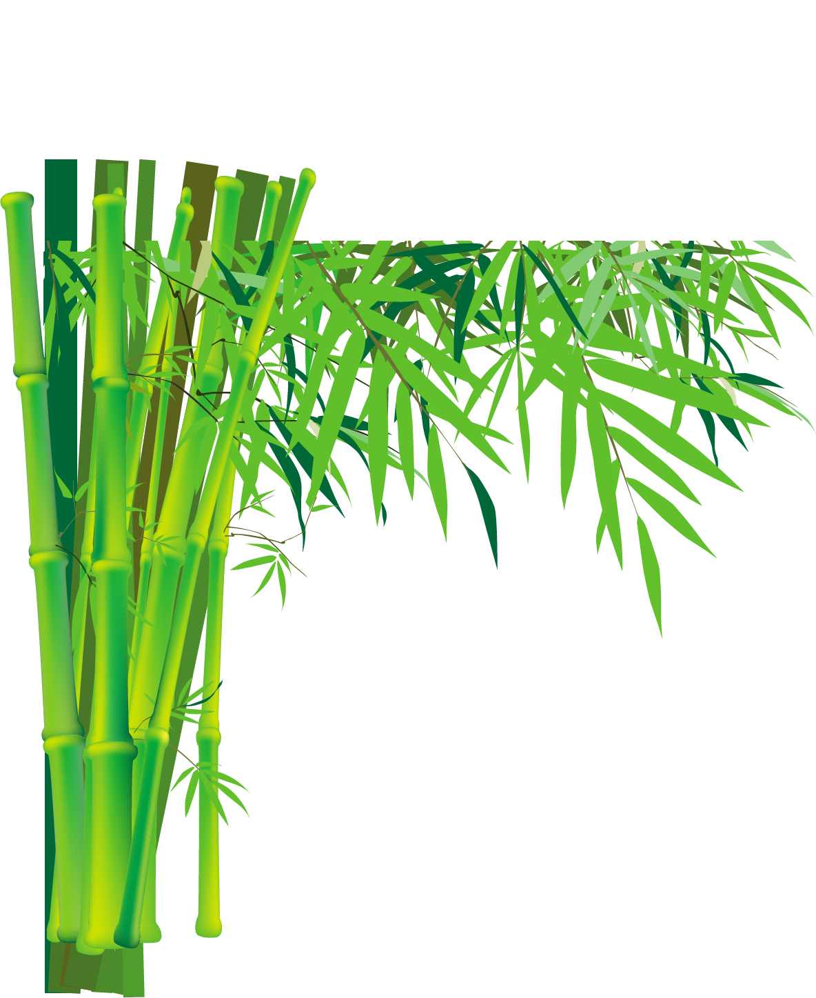 Bamboo PNG